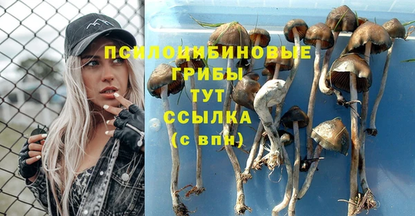 первитин Алексеевка