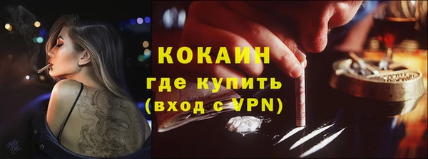 ECSTASY Алзамай