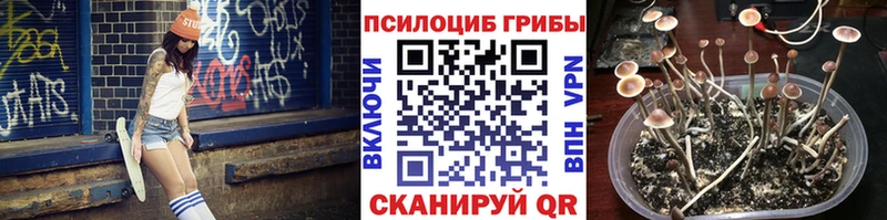 блэк спрут зеркало  закладка  Смоленск  Псилоцибиновые грибы Magic Shrooms 